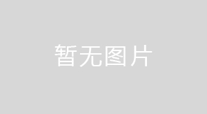 淄川区张相湖体育公园东道路地块土壤污染状况调查报告